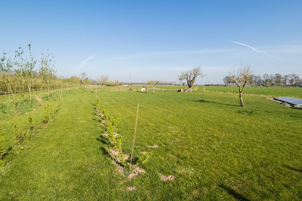 Medium property photo - Gerestraat 6A, 4063 CR Heesselt